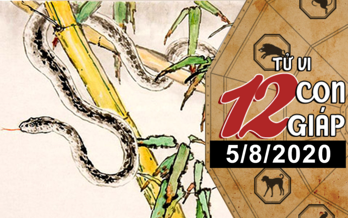 Tử vi thứ 4 ngày 5/8/2020 của 12 con giáp: Sửu vướng họa mất tiền, Tỵ thu nhập giảm sút