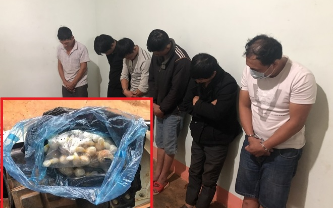 Bắt nhóm đối tượng dùng súng điện trộm chó chuyên nghiệp, sẵn sàng ném ớt bột nếu bị phát hiện