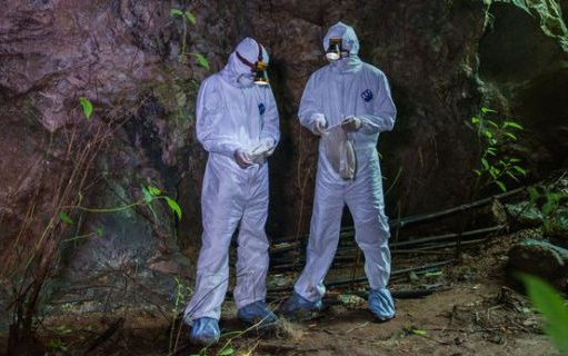 Xôn xao nghi vấn 6 thợ mỏ Trung Quốc mắc COVID-19 từ năm 2012