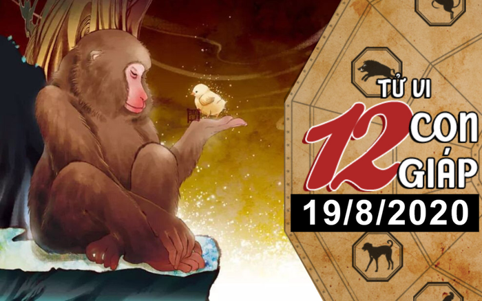 Tử vi thứ 4 ngày 19/8/2020 của 12 con giáp: Mão vượng vận đào hoa, Thân thu nhập cải thiện