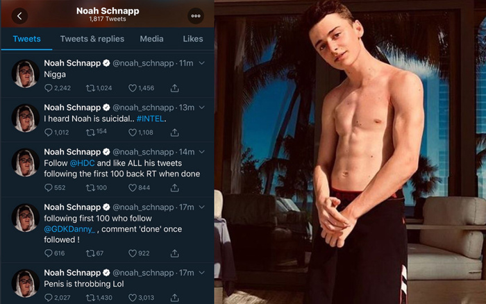 Noah Schnapp - ngôi sao của 'Stranger Things' bị hack Twitter, hàng loạt tin nhắn nhạy cảm đã được gởi đi