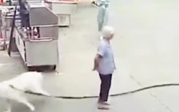 Đang đứng trên đường, cụ bà bị dây xích chó quấn vào chân ngã xuống đất tử vong