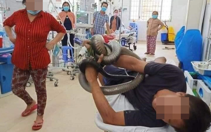 Vụ người đàn ông ôm rắn hổ mang đến bệnh viện sau khi bị cắn: Sức khỏe nạn nhân diễn biến phức tạp