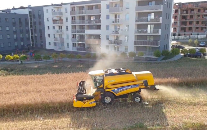 Lão nông kiên nhẫn bám trụ trồng trọt ở mảnh đất lọt thỏm giữa 'rừng' chung cư