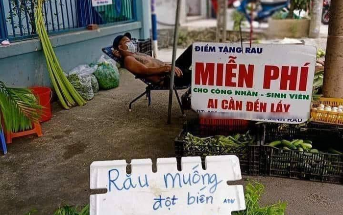 Ông chủ sạp rau cùng tấm bảng tặng sinh viên - công nhân 'bó rau muống đột biến 5 tỷ đồng' khiến nhiều người phải thốt lên: 'Có một sự cute trải dài...'