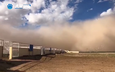 Xem bức tường cát khổng lồ 'ngập trời xanh' 38 năm mới xuất hiện