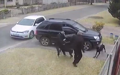 2 chú chó quật ngã kẻ cướp cứu chủ nhân trước cửa nhà