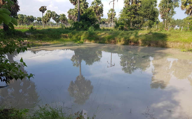 Rủ nhau tắm ở hồ nước, 5 em nhỏ ở An Giang tử vong thương tâm