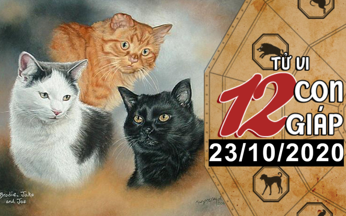 Tử vi thứ 6 ngày 23/10/2020 của 12 con giáp: Mão được nhiều người theo đuổi, Thìn có nhiều khoản chi tiêu