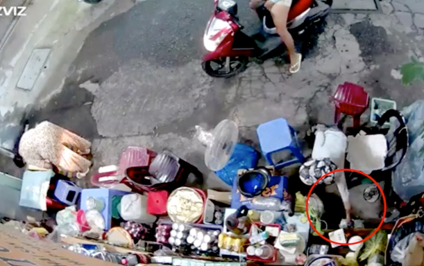 Công an vào cuộc truy bắt người phụ nữ xúi giục con nhỏ trộm túi tiền của bà cụ bán hàng ở vỉa hè