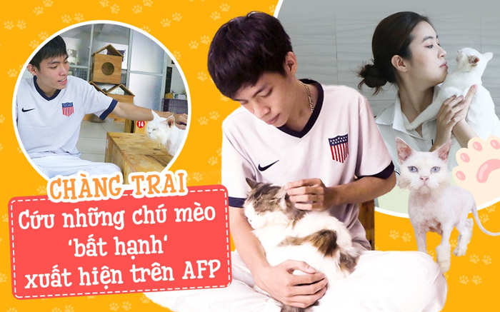 Chàng trai 24 tuổi bỏ công việc thu nhập ổn định cứu những chú mèo bất hạnh, xuất hiện trên hãng thông tấn AFP