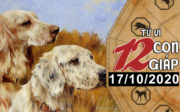 Tử vi thứ 7 ngày 17/10/2020 của 12 con giáp: Tỵ có quý nhân giúp đỡ, Tuất vượng tài lộc