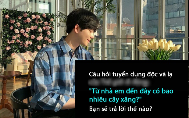 Nhà tuyển dụng phỏng vấn: 'Từ nhà em đến công ty có bao nhiêu cây xăng?', nam sinh được nhận ngay với câu trả lời xuất sắc