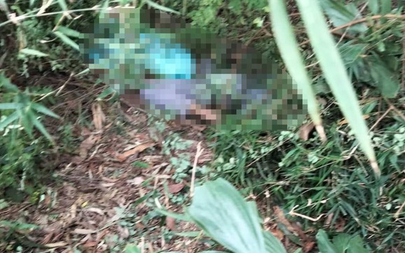 Phát hiện nam thanh niên nằm tử vong cạnh một bao tải đựng chó trong rừng tràm