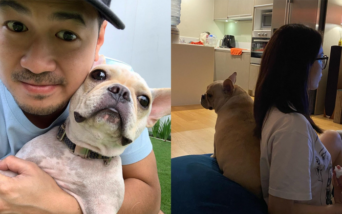 'Thánh thả thính' gọi tên Phillip Nguyễn, đăng ảnh mừng sinh nhật cún cưng vẫn biết cách nịnh Linh Rin