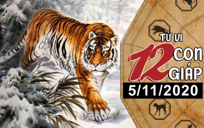 Tử vi thứ 5 ngày 5/11/2020 của 12 con giáp: Dần vượng tài lộc, Tuất nên cẩn thận kẻ thứ 3