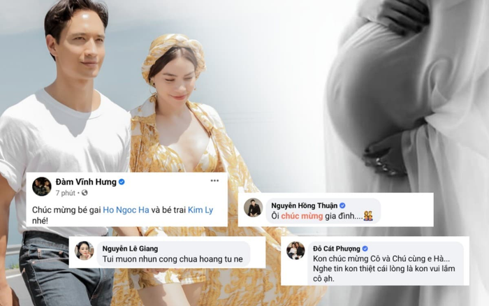 Dàn sao Việt nô nức chúc mừng Hà Hồ hạ sinh 2 'thiên thần nhỏ'