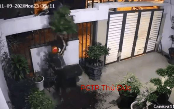 Clip: Trèo tường trộm cây bonsai, nhóm trộm chuyên nghiệp 'ăn dày' chỉ trong vòng 1 phút 'hành sự'