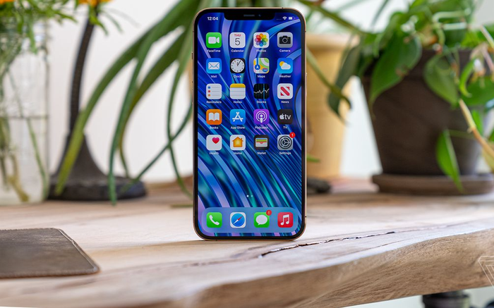 iPhone 12 Pro Max đầu tiên về VN được bán với giá trên 50 triệu đồng