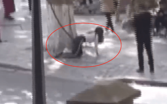 Cô gái bò lồm cồm trên phố với tấm biển 'tuyển chồng', nguyên nhân phía sau khiến nhiều người ngao ngán