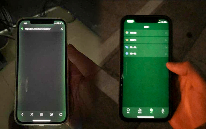 Người dùng phàn nàn vì iPhone 12 gặp lỗi màn hình ám xanh