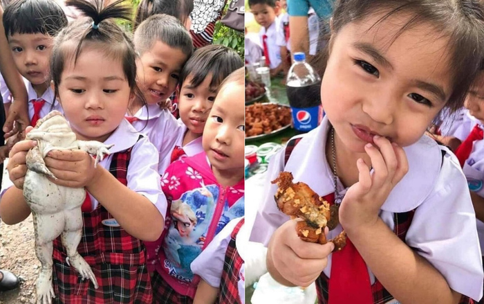 Học trò hào hứng với buổi ngoại khóa ở trại ếch, loạt ảnh cuối ghi lại kết cục bất ngờ của loài lưỡng cư