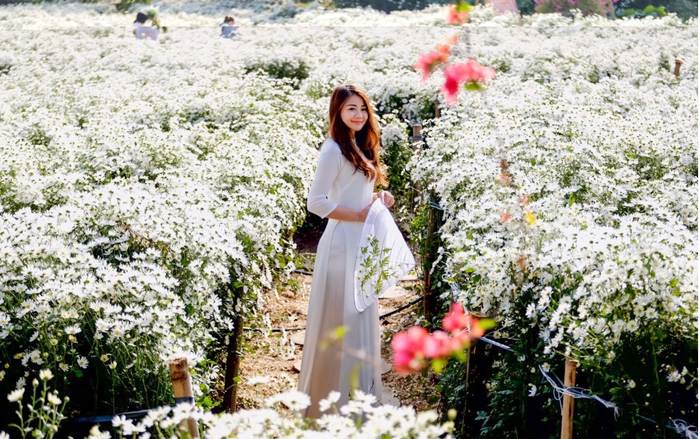Thung Lũng hoa Hồ Tây nơi trải nghiệm ngàn hoa cho phái đẹp tại Hà Nội