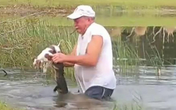 Người đàn ông móc hàm cá sấu cứu chó cưng