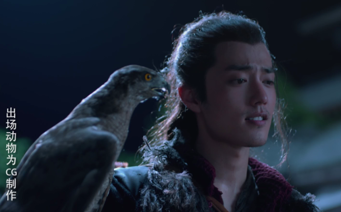 Đoàn phim 'Lang điện hạ' bị tố hành hạ đại bàng nhưng Tiêu Chiến lại hứng chịu chỉ trích