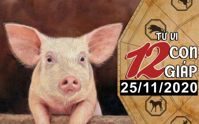 Tử vi thứ 4 ngày 25/11/2020 của 12 con giáp: Thân hao tài tốn của, Hợi bị tiểu nhân quấy phá