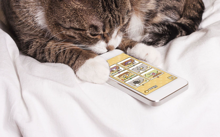 Con người sắp giao tiếp được với loài mèo nhờ ứng dụng này trên điện thoại