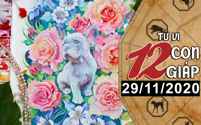Tử vi chủ nhật ngày 29/11/2020 của 12 con giáp: Mùi bị tiểu nhân vây hãm, Tuất vượng tài lộc