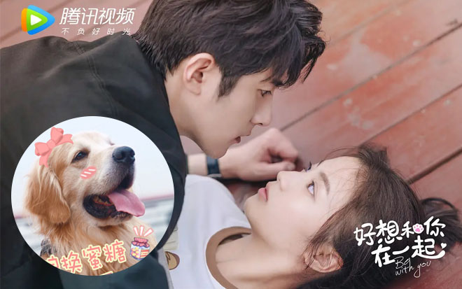 'Rất muốn ở bên anh' - Chuyện tình thầy trò ngọt tận tâm can được mai mối nhờ một chú cún