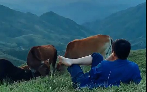 JD tuyển dụng gây sốt MXH, đúng là thời 'về quê nuôi cá trồng thêm rau' tới rồi!