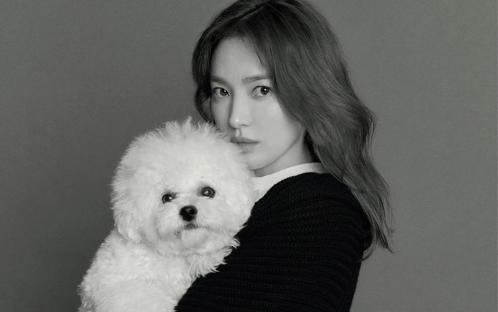 Dù ly hôn hay tái hôn, Song Hye Kyo vẫn hot nhất Hàn Quốc: 'Chị sợ quá cơ!'