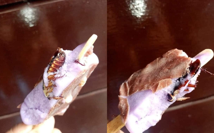 Cắn ngập răng cây kem, cô gái xém 'ngất xỉu' khi phát hiện có gián bên trong