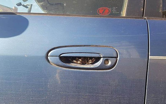 Chuẩn bị mở cửa xe thì nhìn thấy cảnh này, cô gái không dám chạm vào ô tô suốt một tuần