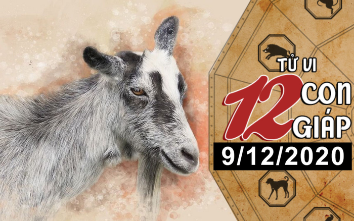 Tử vi thứ 4 ngày 9/12/2020 của 12 con giáp: Tý dính tin đồn thị phi, Mùi sự nghiệp lên như diều gặp gió