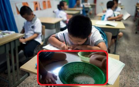 Cô giáo yêu cầu học trò đem đủ 10.000 hạt gạo đến lớp, cả nhà vừa bực tức vừa miệt mài đếm đến nửa đêm