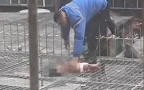 Bé gái 4 tháng tuổi bị mẹ ném xuống từ tầng 5 nhưng bố không cho nhập viện và nguyên nhân gây phẫn nộ