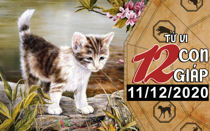 Tử vi thứ 6 ngày 11/12/2020 của 12 con giáp: Mão dễ rơi vào lưới tình, Tỵ vượng tài lộc