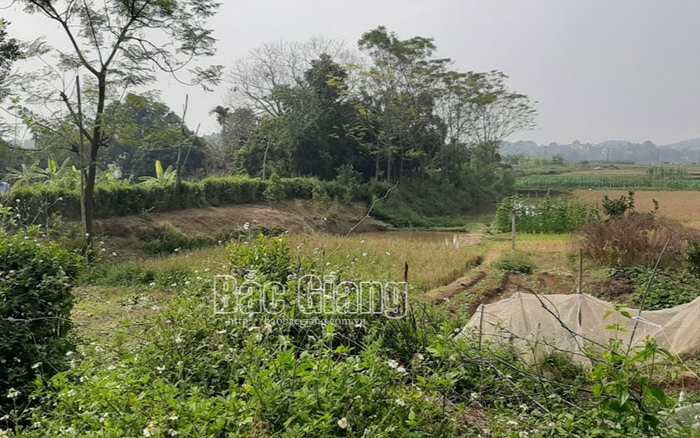 Phát hiện đôi nam nữ tử vong trong lều trông cá ngoài cánh đồng