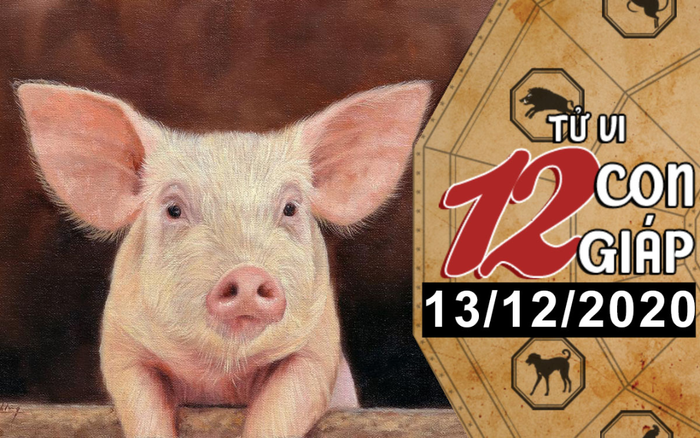 Tử vi chủ nhật ngày 13/12/2020 của 12 con giáp: Sửu được quý nhân phù trợ, Hợi có nhiều cơ hội phát tài