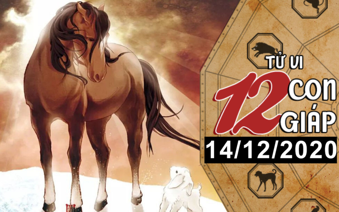 Tử vi thứ 2 ngày 14/12/2020 của 12 con giáp: Ngọ vướng họa mất tiền, Mùi vượng vận đào hoa