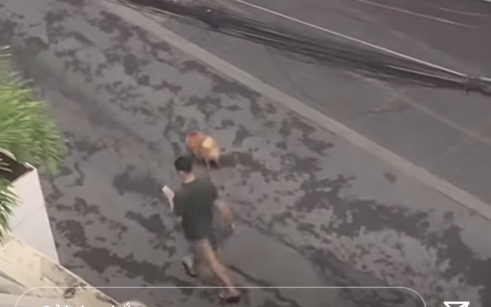 Lãng mạn như cầu thủ: Văn Lâm dẫn cún cưng ngắm Yến Xuân từ ngoài khu cách li