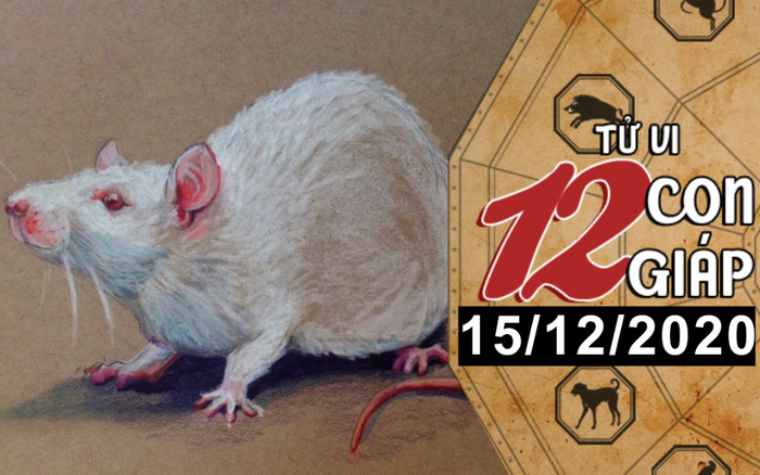 Tử vi thứ 3 ngày 15/12/2020 của 12 con giáp: Tý được Thần Tài gõ cửa, Hợi vượng vận đào hoa