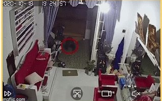 Clip: Bóng đen lồm cồm bò vào trong sân nhà lấy trộm đôi dép khiến chủ nhà hoảng hốt khi check camera