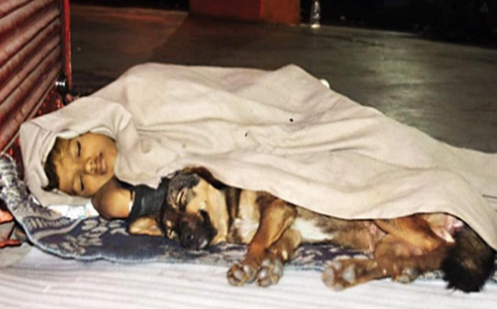 Cha ngồi tù, mẹ bỏ rơi, đứa trẻ vô gia cư sống cùng chó làm tan chảy bao trái tim