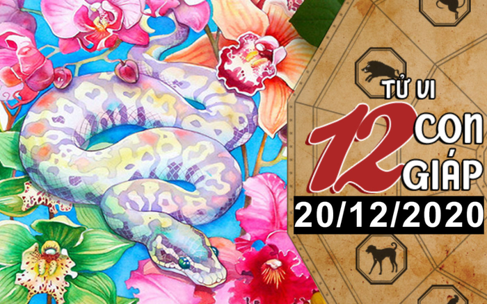 Tử vi chủ nhật ngày 20/12/2020 của 12 con giáp: Dần được quý nhân giúp đỡ, Tỵ vượng tài lộc