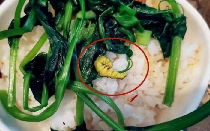 Cô giáo gửi ảnh bữa ăn học sinh vào nhóm chat rồi vội thu hồi, phụ huynh hoảng hốt khi phát hiện sự thật